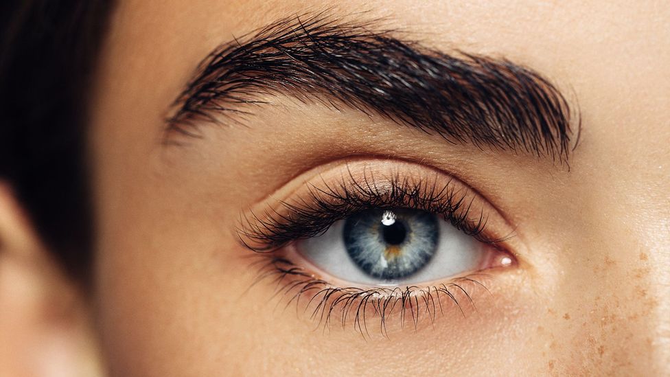 Coloured Contact Lenses