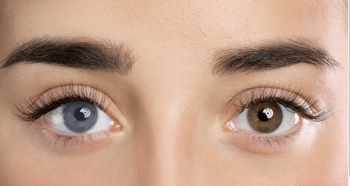 cosmetic coloured contact lenses