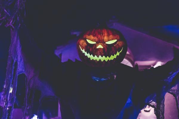 Halloween Contact Lenses