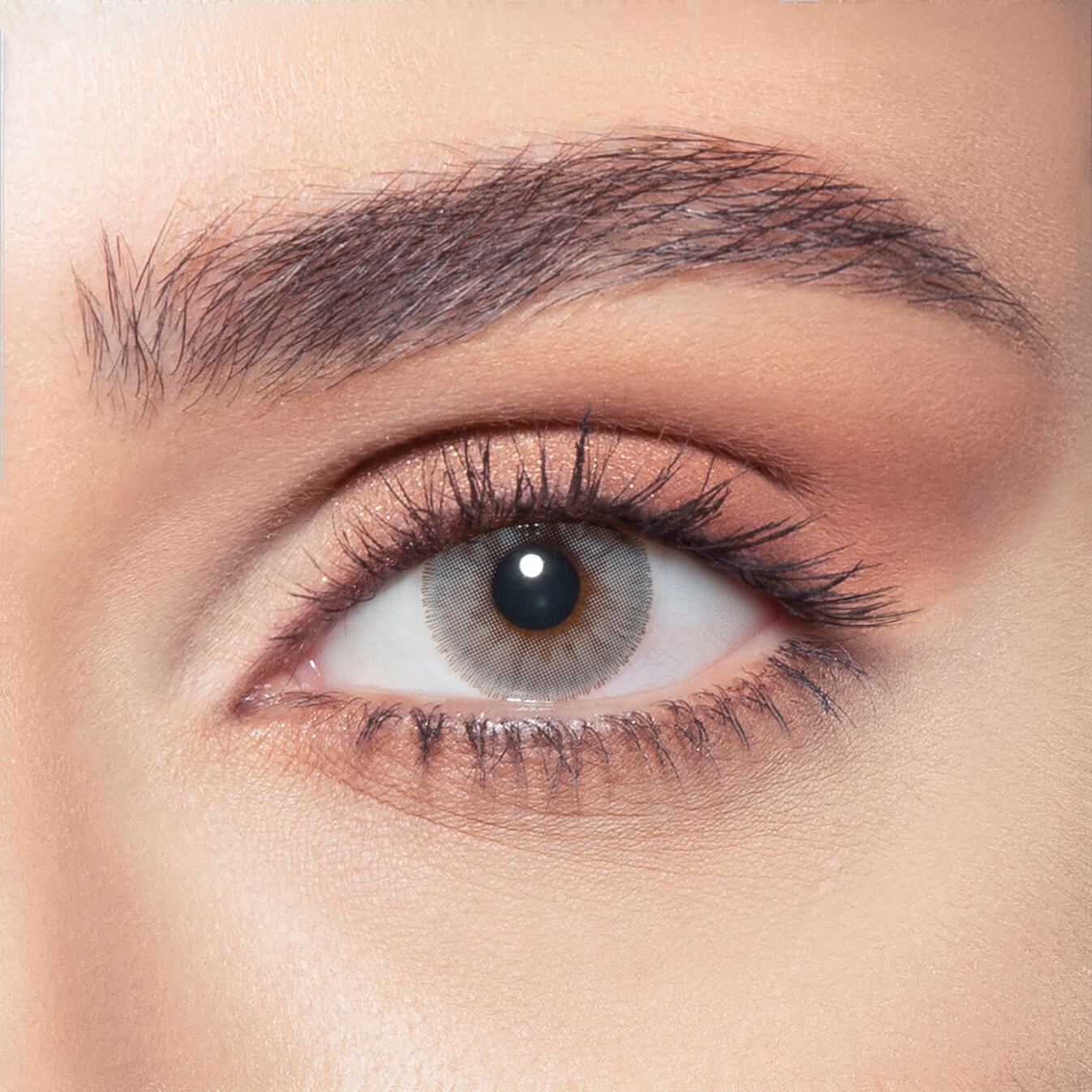 Bella Elite - Cloudy Grey Coloured Contact Lenses