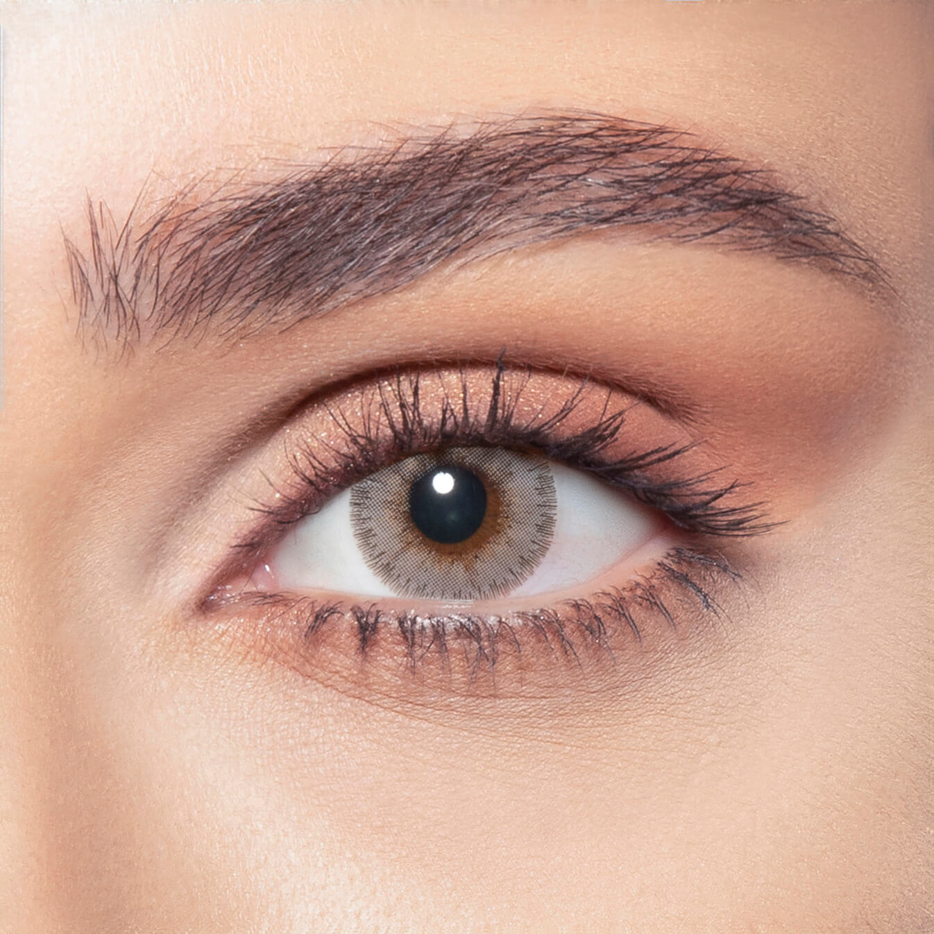Bella Elite - Amber Grey Coloured Contact Lenses