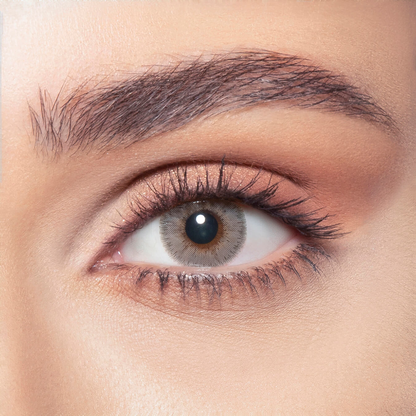 Bella Elite - Gray Beige Coloured Contact Lenses