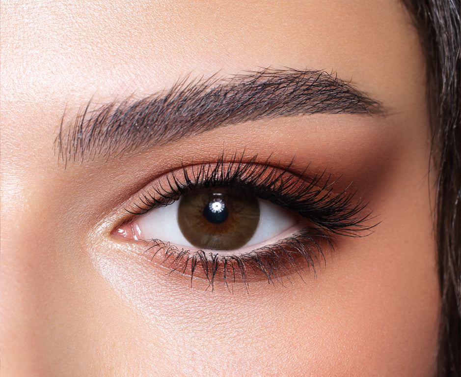 Bella Diamond - Brown Shadow Coloured Contact Lenses