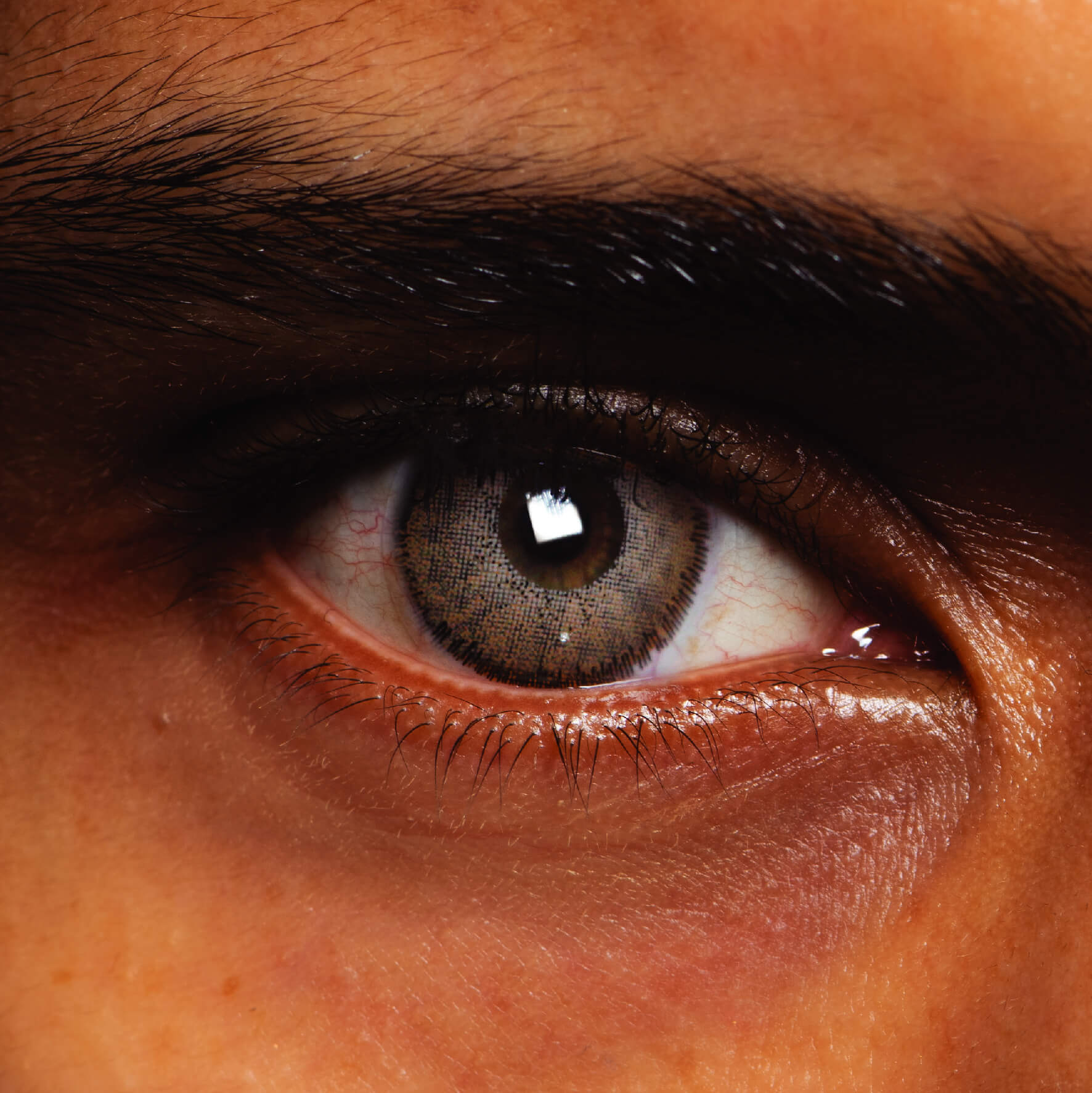 Autumn Mist Natural Brown Coloured Contact Lenses