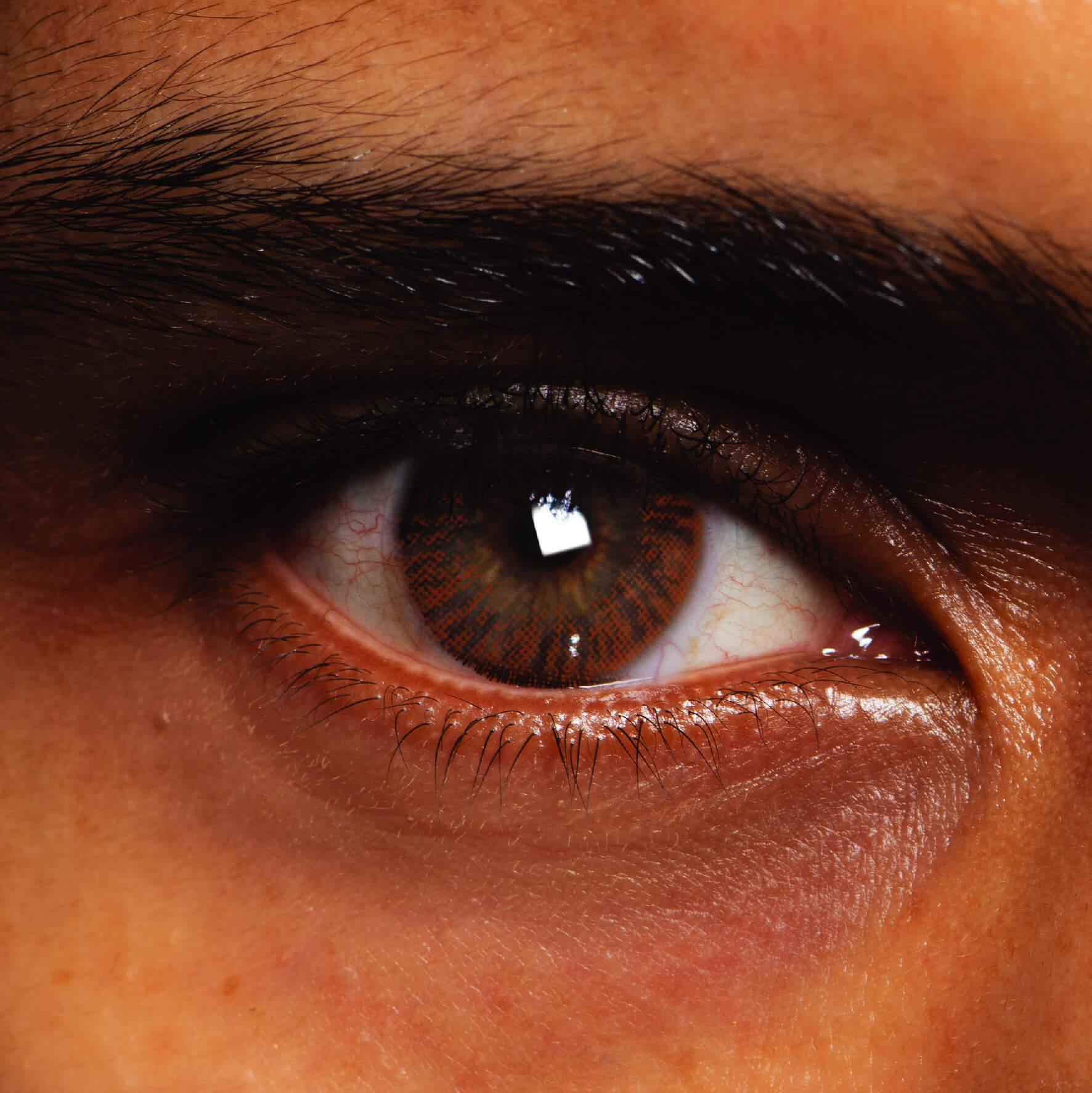 Coloured Contact Lenses