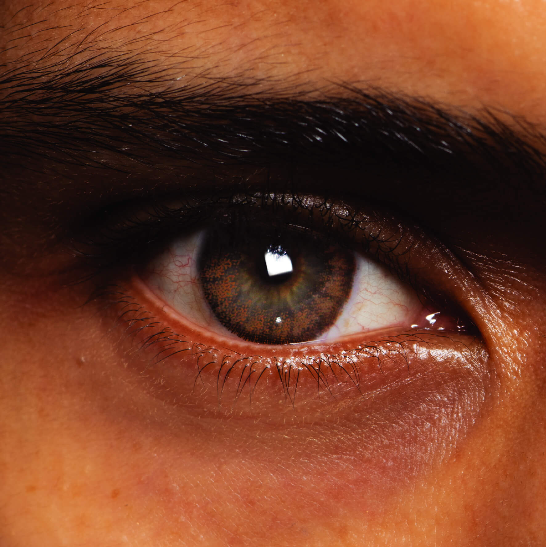 Coloured Contact Lenses